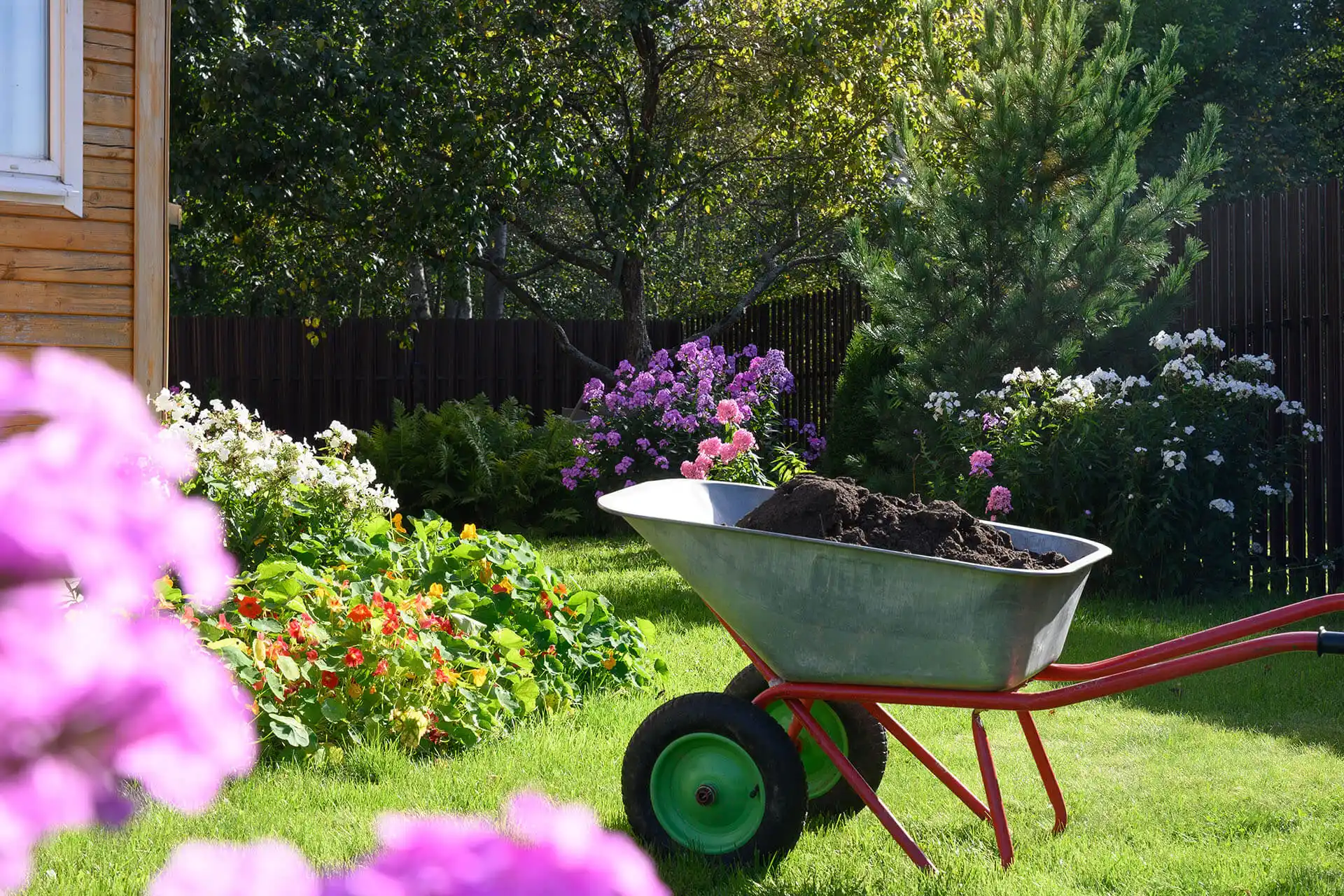 3 Quick Tips For A Beautiful Spring Lawn